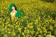 Aria Giovanni - Yellow Field of Flowers -t11li4oyxb.jpg