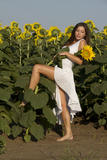 Rimma A - The Sunflower -2454aw6wn7.jpg