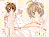 http://img37.imagevenue.com/loc570/th_28115_card_captor_sakura_140_123_570lo.jpg