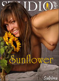 Sabina - Sunflower-f074shttw1.jpg